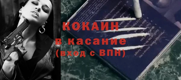 амф Дмитриев