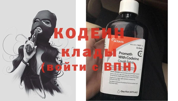 молекула духа Елабуга