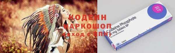 молекула духа Елабуга