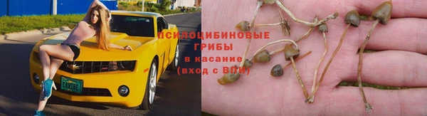 кокаин колумбия Ельня