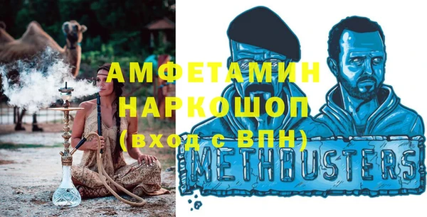 амф Дмитриев