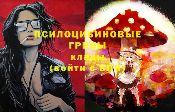 меф Дмитровск