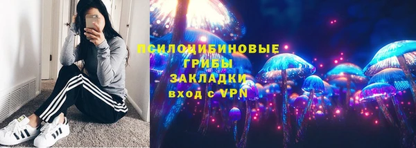 молекула духа Елабуга