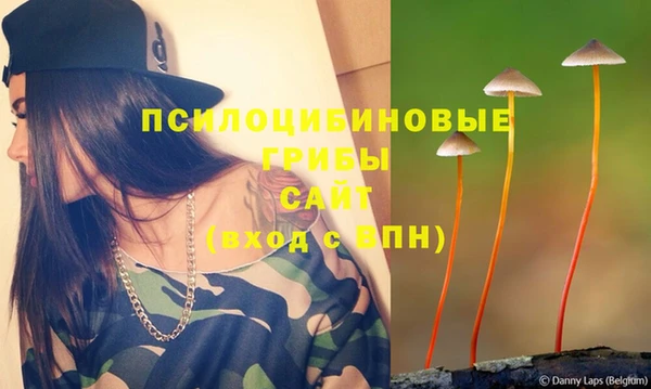 молекула духа Елабуга