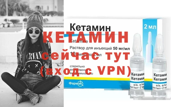 амф Дмитриев