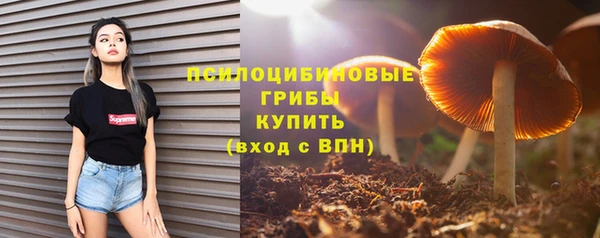 гидропоника Елизово
