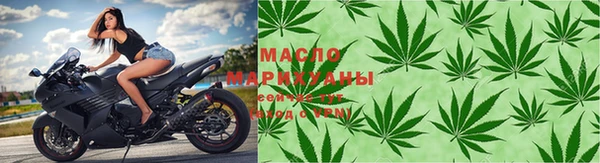 молекула духа Елабуга