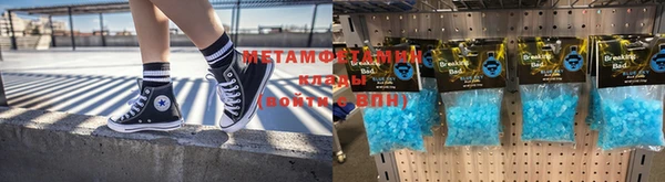 прущие грибы Дмитров