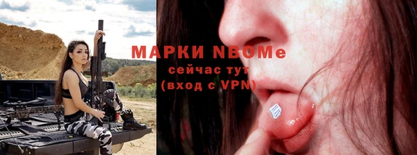 молекула духа Елабуга
