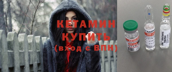амф Дмитриев